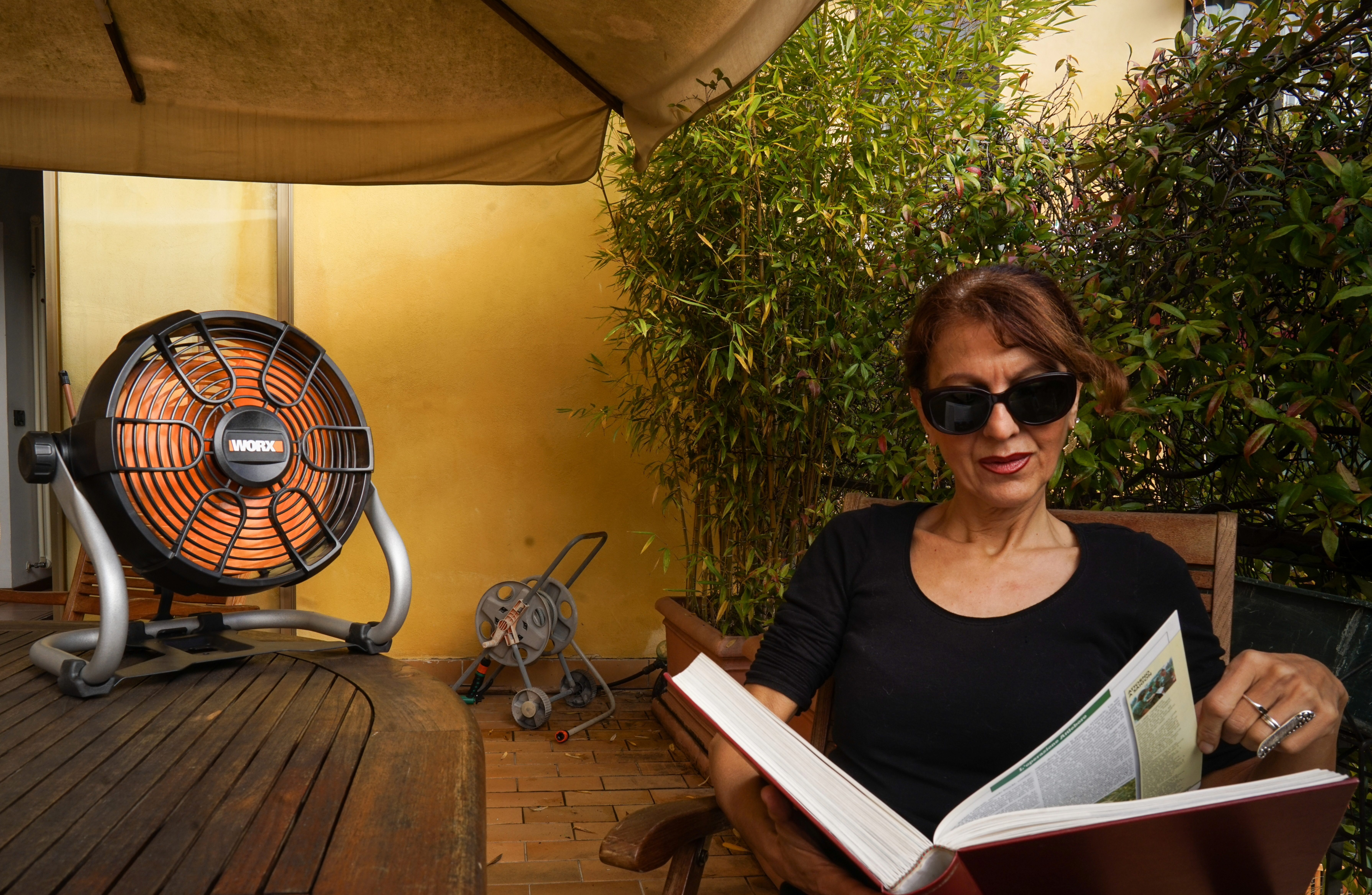 Worx WX095.9 - Ventilador 20V (S/bat)